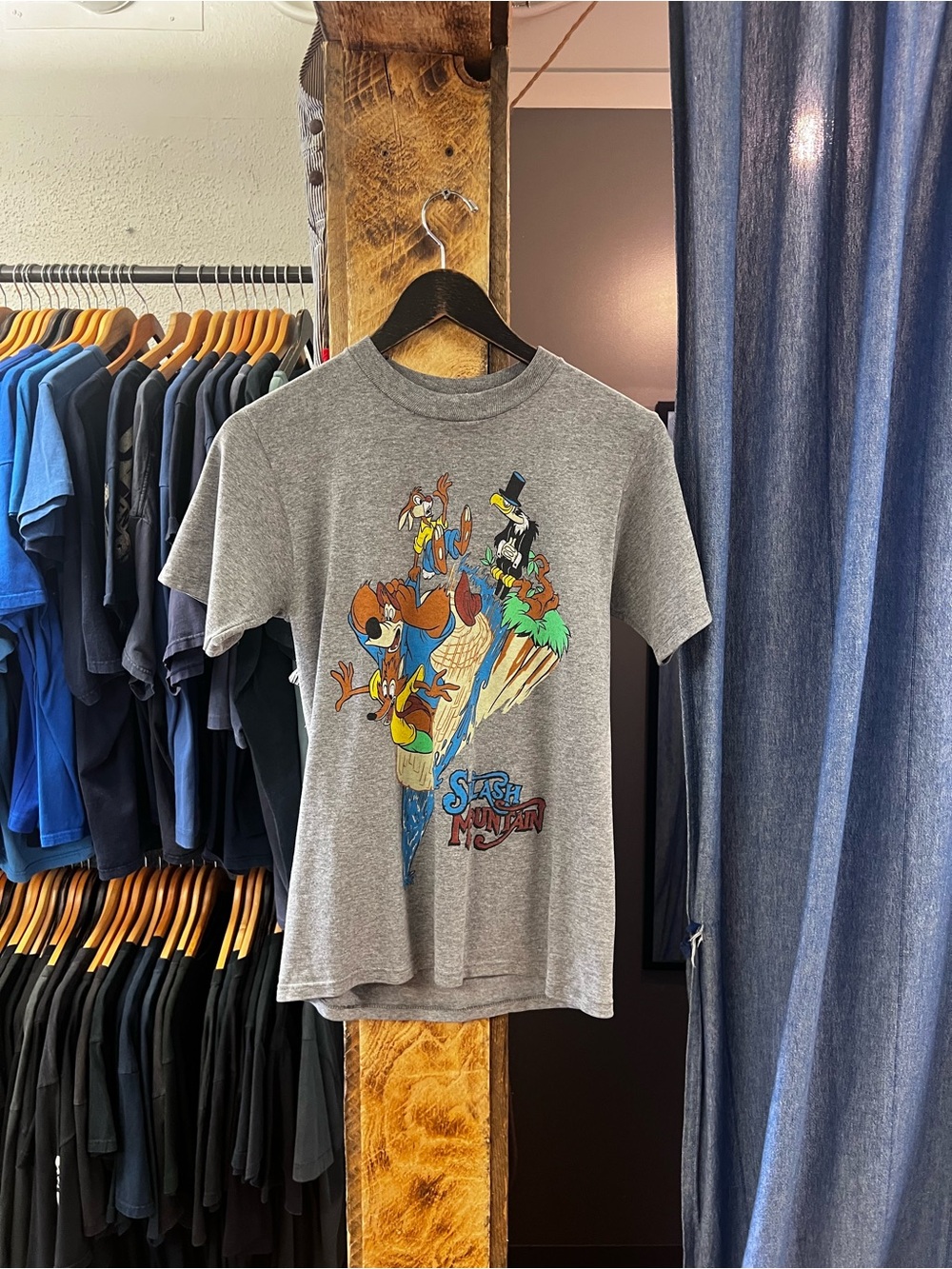 Vintage Splash Mountain Grey Graphic T-shirt